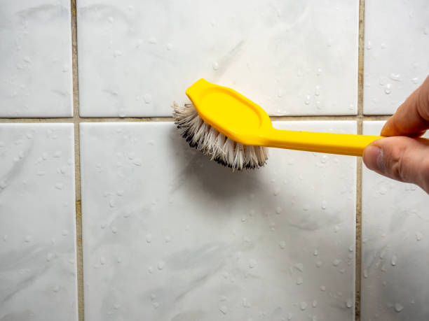Best Mold Remediation  in Cadiz, OH