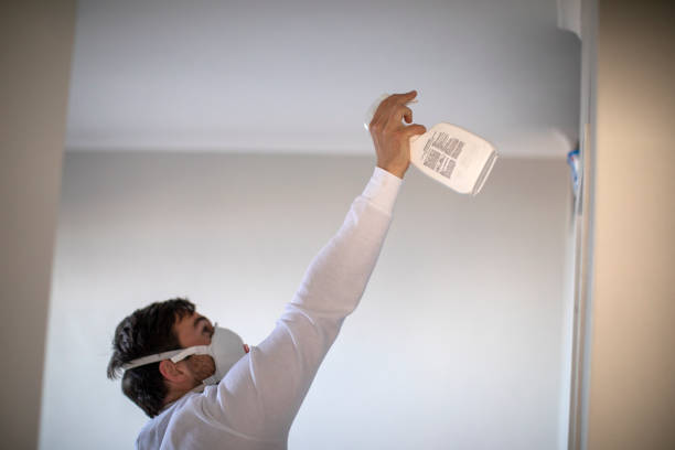 Best Toxic Mold Removal  in Cadiz, OH