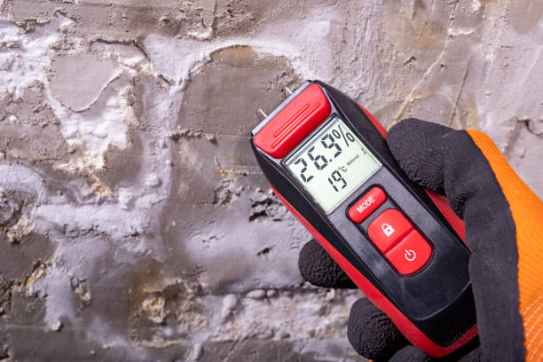 Best Home Mold Removal  in Cadiz, OH